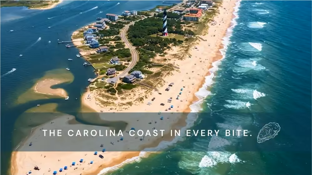 Carolina Oyster artwork: aerial view of the coast, &lsquo;The Carolina coast in every bite&rsquo;